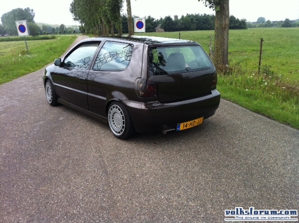 polo clean