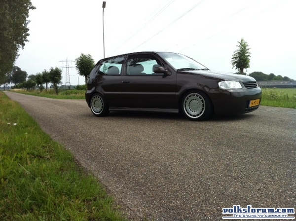 polo clean
