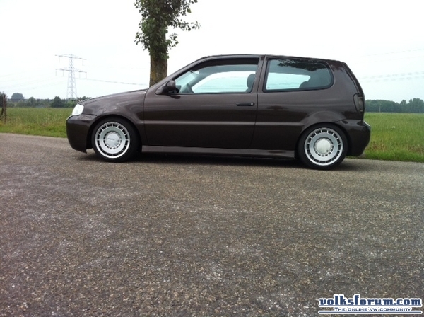 Polo clean