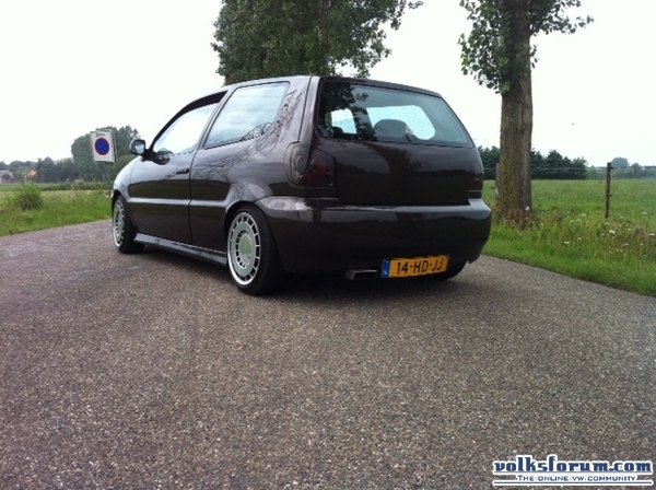 Polo clean