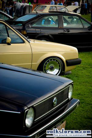 jetta