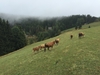 vakantie 2015