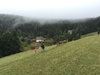 vakantie 2015