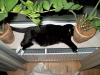 hard life ......