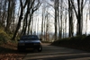 Scirocco in Bos 2