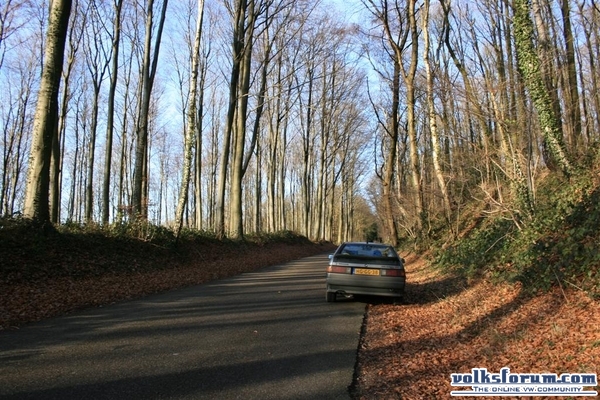 Scirocco in Bos 2