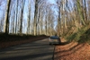 Scirocco in Bos 2