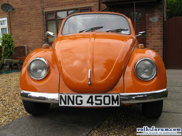 Molly, my Orange Bug.