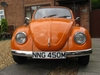 Molly, my Orange Bug.