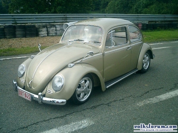 bug-in2007013