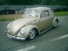 bug-in2007013