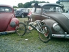 bug-in2007094