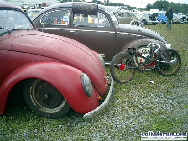 bug-in2007095