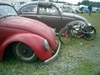 bug-in2007095