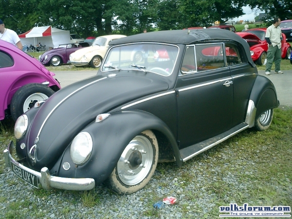 bug-in2007097