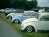 bug-in2007122