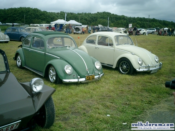 bug-in2007123