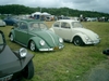 bug-in2007123