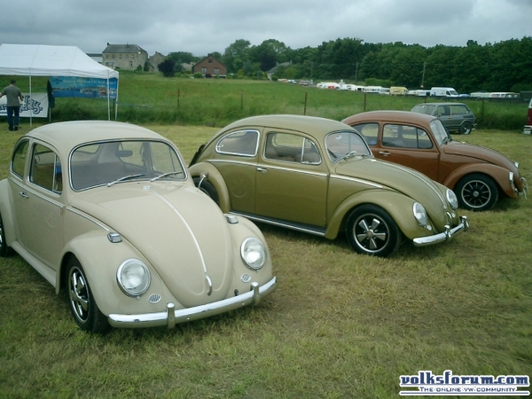 bug-in2007124