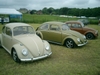 bug-in2007124