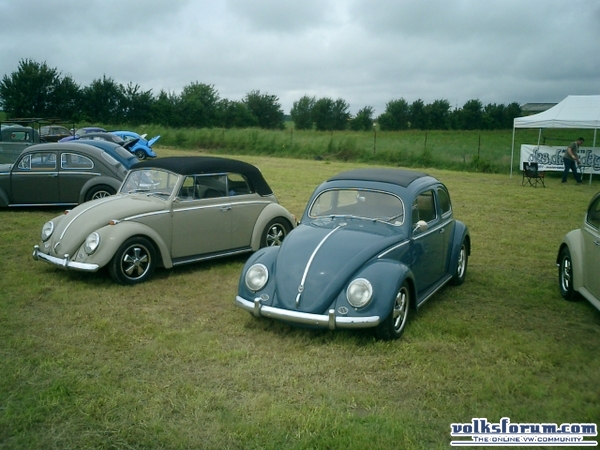 bug-in2007125