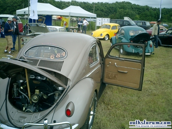 bug-in2007126