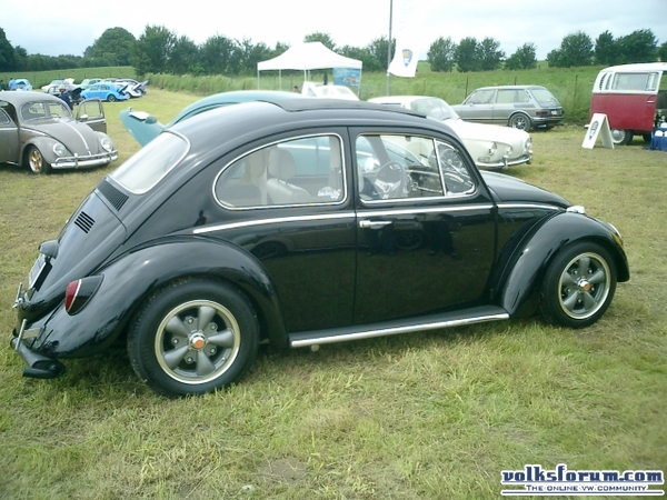 bug-in2007131