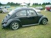 bug-in2007131