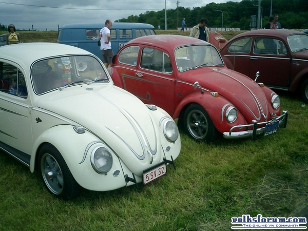 bug-in2007132