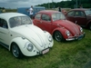 bug-in2007132