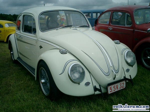 bug-in2007133