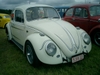 bug-in2007133