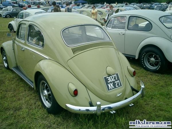 bug-in2007134