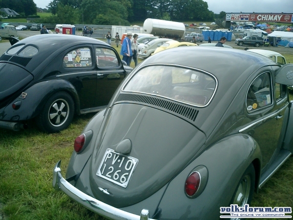 bug-in2007135