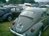 bug-in2007135