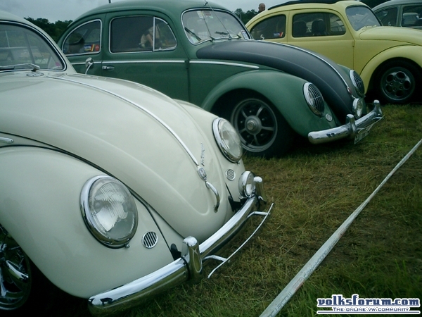 bug-in2007136