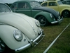 bug-in2007136