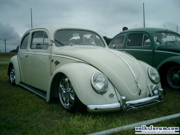 bug-in2007137