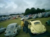 bug-in2007142