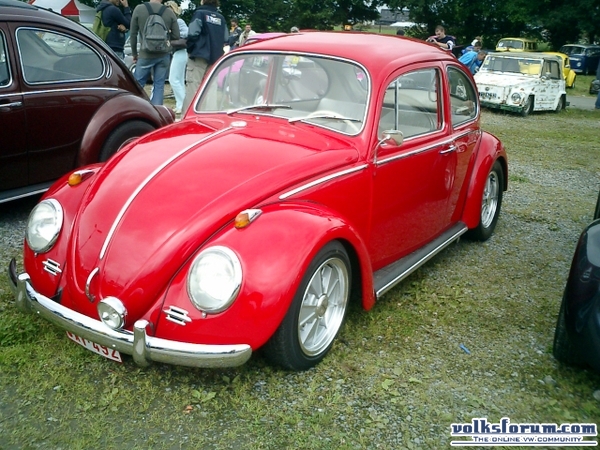 bug-in2007151