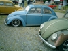 bug-in2007155