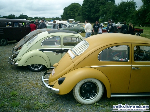 bug-in2007156