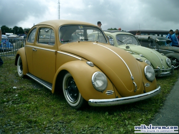 bug-in2007157