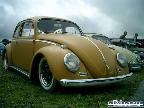 bug-in2007158