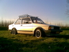 jetta