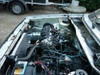 jetta