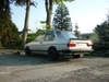 jetta