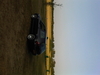 dub 05 terein