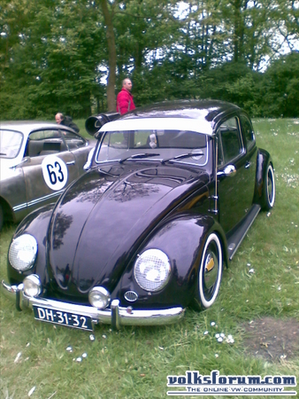 Beetles at the beach 2010