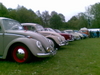 Beetles at the beach 2010